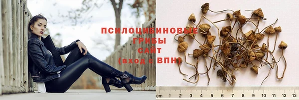 индика Володарск