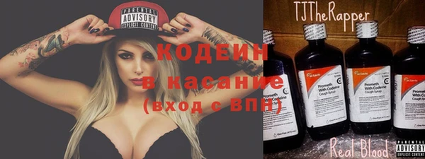 индика Володарск