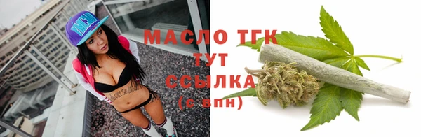 индика Володарск