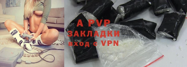 индика Володарск