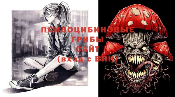 индика Володарск