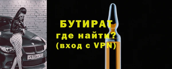 индика Володарск