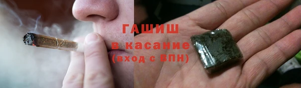 индика Володарск