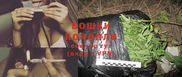 индика Володарск