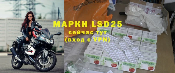 индика Володарск