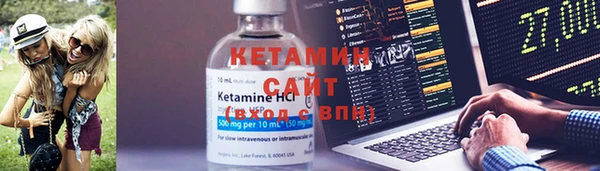 индика Володарск