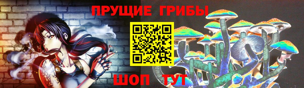 Галлюциногенные грибы Cubensis Иваново