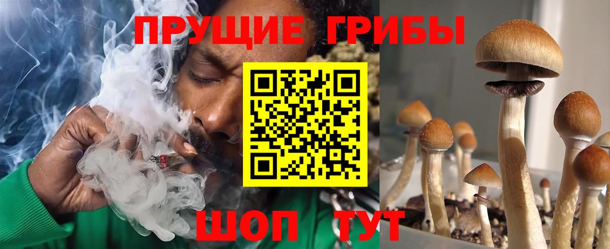 Иваново  Псилоцибиновые грибы мухоморы  Вход с VPN  Галлюциногенные грибы мицелий 